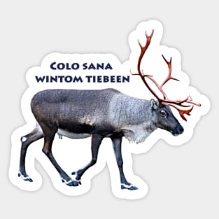 Colo sana wintom tiebeen Sticker